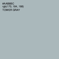 #AAB8BC - Tower Gray Color Image